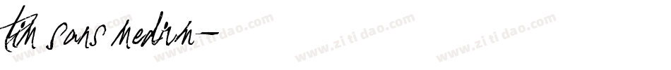 TIM Sans Medium字体转换